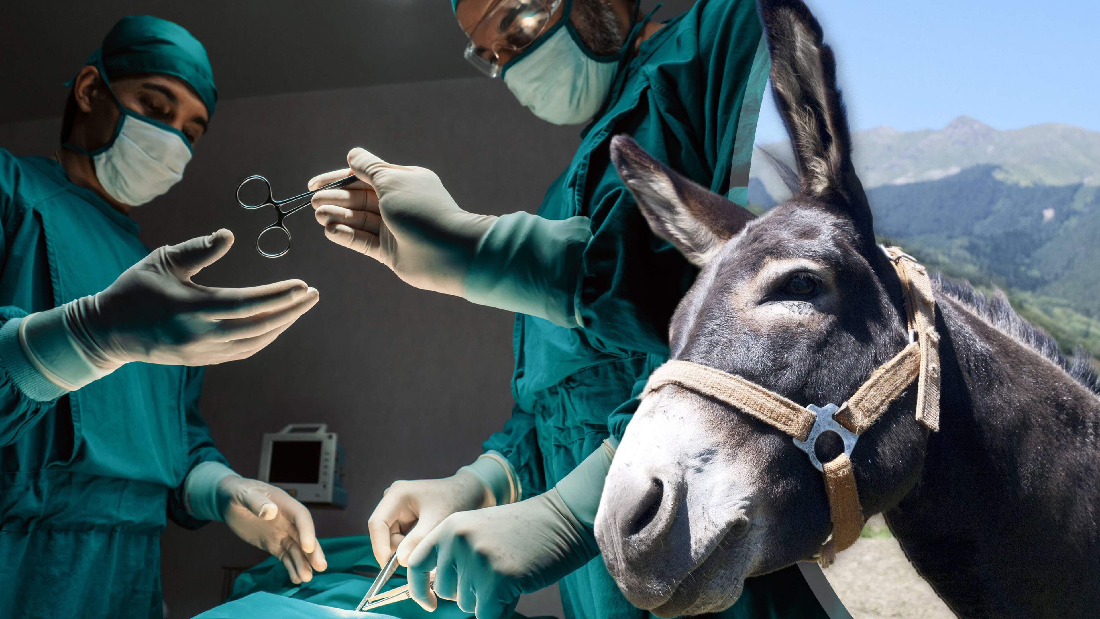 Zelfs ’driftkikkercursus’ was niet genoeg voor chirurg die ’ezel’ riep naar collega: zaak krijgt nu vervelend staartje voor arts